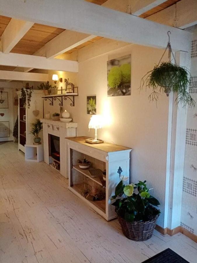 Gite Ferme La Rosee Blanche Laveline Exterior foto